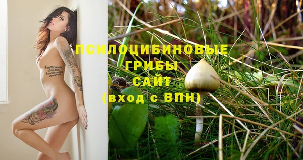 синтетический гашиш Дмитриев